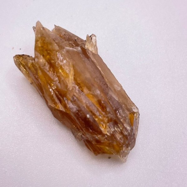 画像3: ハニーアンバー (3)