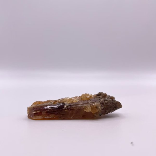 画像9: ハニーアンバー (9)