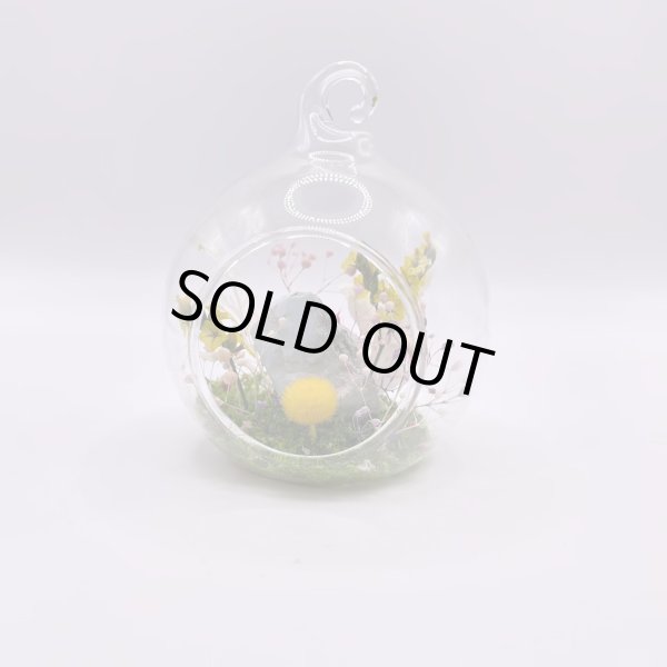 画像4: ジオラマ・ラリマー (4)