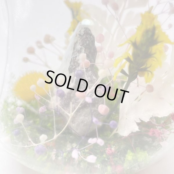 画像3: ジオラマ・ラリマー (3)