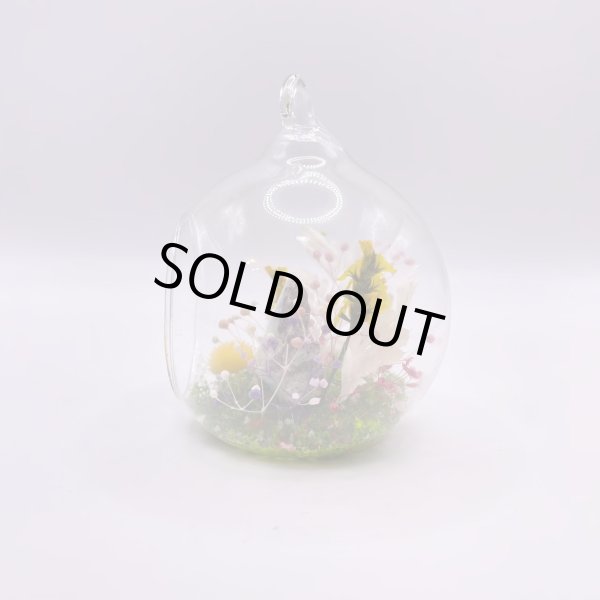 画像5: ジオラマ・ラリマー (5)