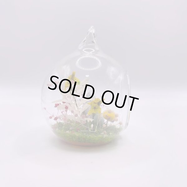 画像7: ジオラマ・ラリマー (7)