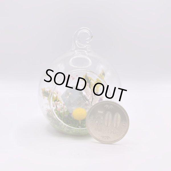 画像9: ジオラマ・ラリマー (9)