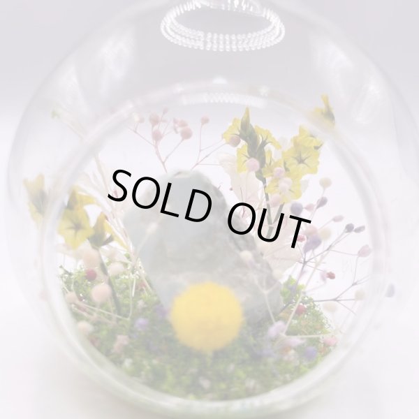 画像10: ジオラマ・ラリマー (10)