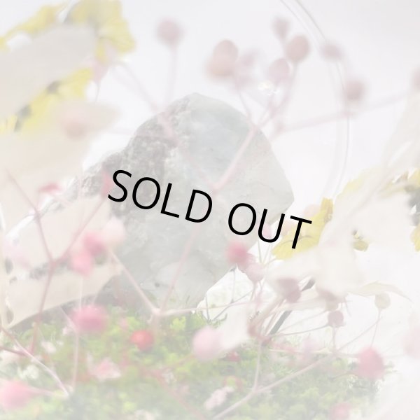 画像2: ジオラマ・ラリマー (2)