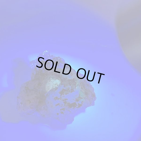 画像1: ハイアライトオパール (1)